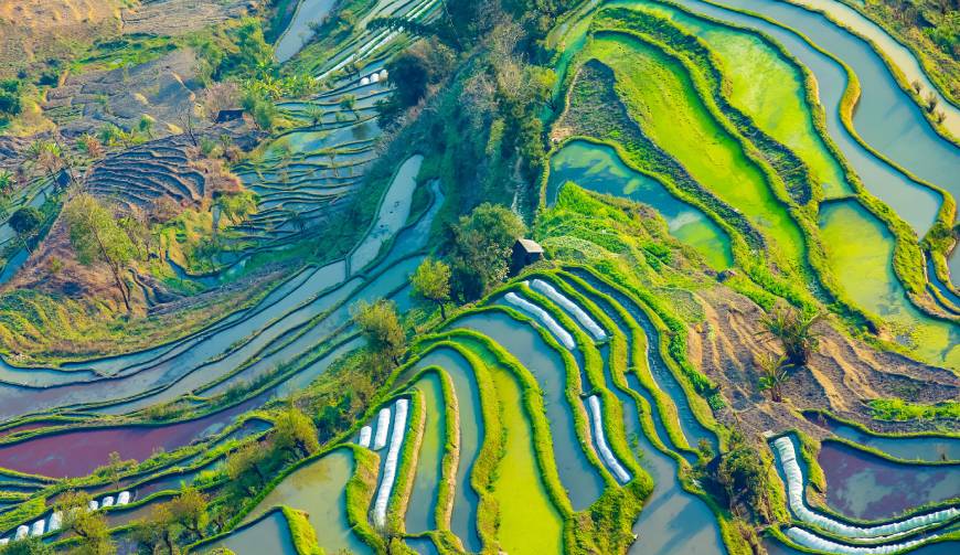 宝妈必备神器：浠水县产品视频拍摄轻松育儿好帮手