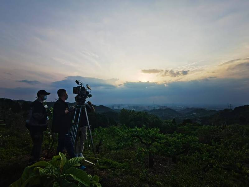 聚焦浠水县产品宣传视频拍摄公司，用专业实力铸就品牌传播传奇