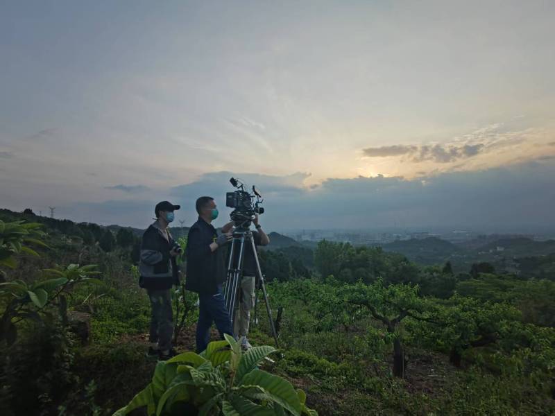 创意破圈！浠水县电商产品宣传视频用故事化叙事引爆流量
