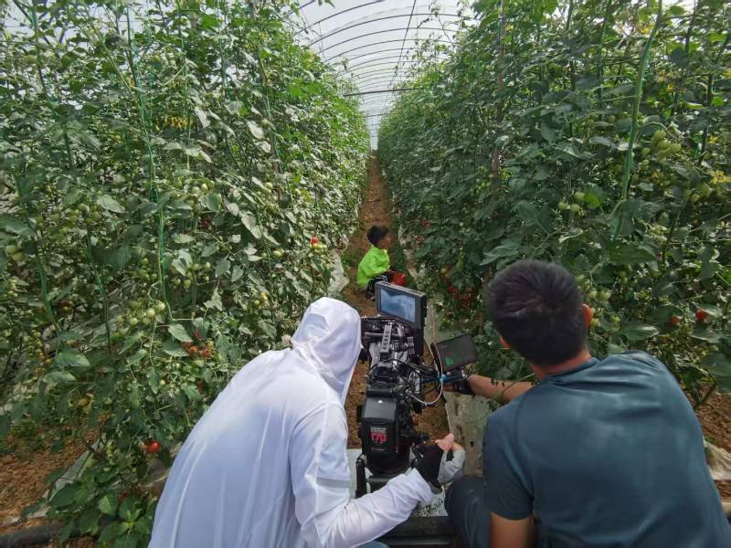 浠水县产品宣传视频拍摄公司进阶指南，助力品牌抢占传播高地